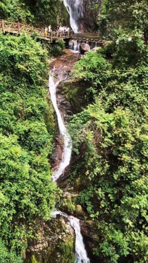 都匀市多端发力推动茶产业高质量发展